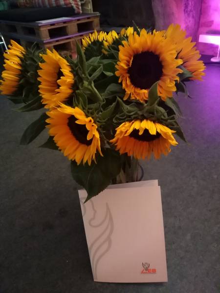 ausbildung_gf.jpg ausbildung_gf.jpg