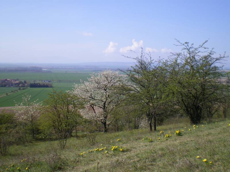 heeseberg_1.jpg heeseberg_1.jpg